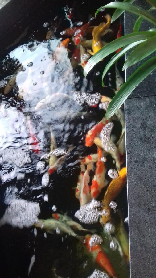 Khách Sạn Hiệp Yến Tuy Hoa Exterior foto